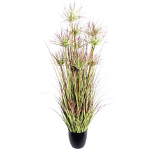 Papyrus artificiel en pot comme décoration pour l''intérieur
