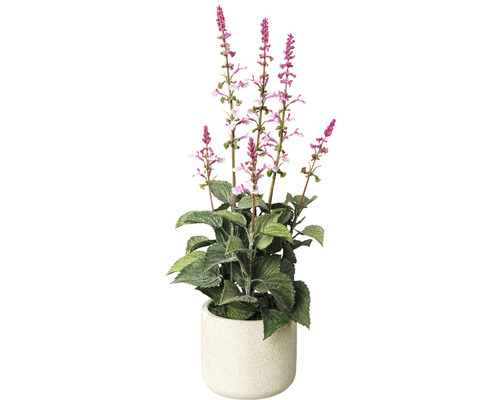 Plante artificielle sauge dans un pot h 45 cm rose