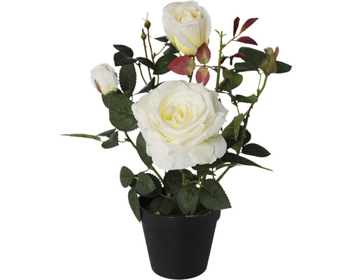 Plante artificielle rosier h 32 cm blanc