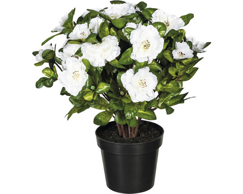 Plante artificielle Azalée H 32 cm blanc