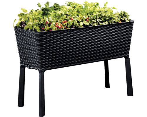 Jardinière surélevée avec des plantes dans un tressage de panier noir