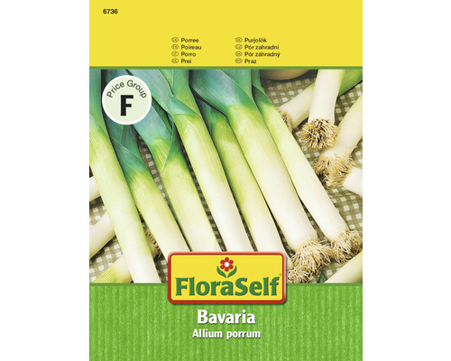 Poireau 'Bavaria' FloraSelf semences non hybrides semences de légumes