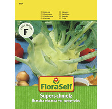 Kohlrabi 'Superschmelz' FloraSelf samenfestes Saatgut Gemüsesamen