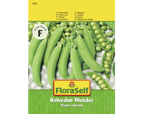 Markerbsen 'Kelvedon' FloraSelf samenfestes Saatgut Gemüsesamen