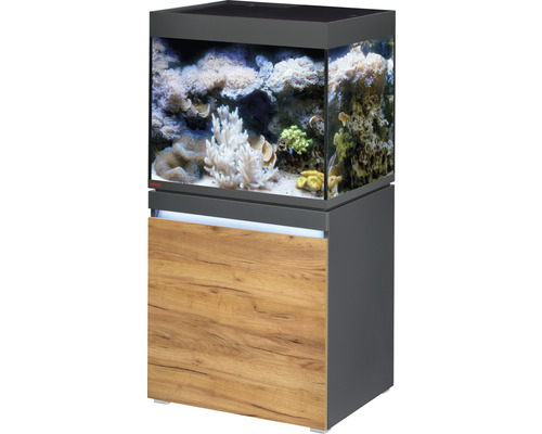 Kit complet d'aquarium EHEIM incpiria 230 marine avec éclairage à LED, pompe d'alimentation et meuble bas éclairé graphite/chêne