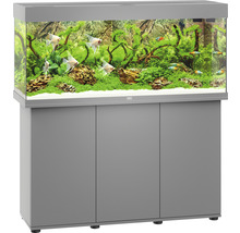 Graues Aquarium mit Unterschrank und tropischer Dekoration