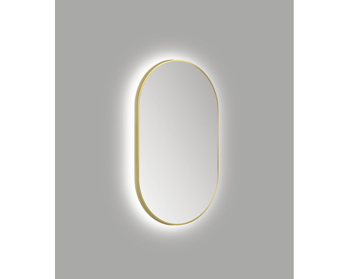 Oval  Badezimmerspiegel mit Licht kaufen bei HORNBACH