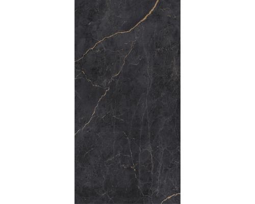 Carreau de sol foncé avec aspect marbre et veinures