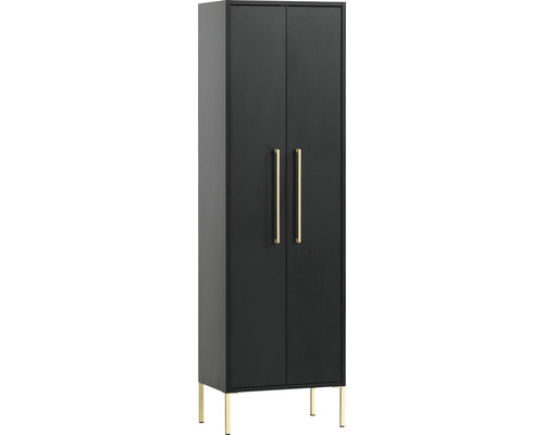 Armoire noire à deux portes avec poignées et pieds dorés