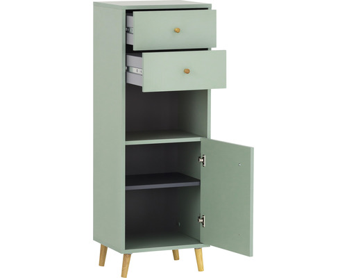 Schmaler Schrank mit zwei Schubladen, einer Tür und zwei Regalen