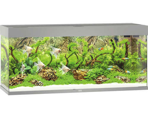 Aquarium Juwel Rio 240 mit LED-Beleuchtung, Pumpe, Filter, Heizer ohne Unterschrank grau