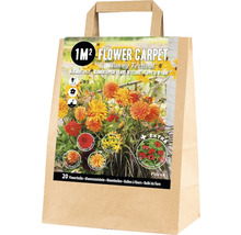 Blumenzwiebeln für einen Blumengarten von einem Quadratmeter in einer Papiertragetasche