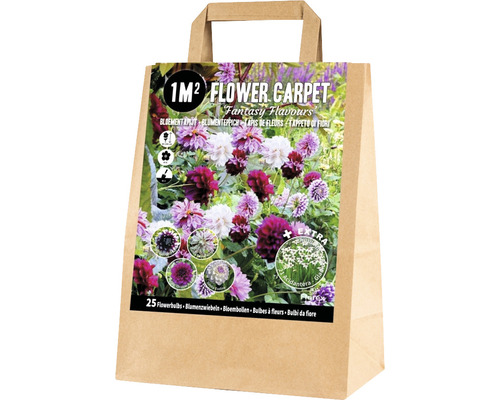 Mélange de bulbes tapis de fleurs pour 1 m2 'Fantasy Flavours' avec dahlias et glaïeuls d'Abyssinie 25 pces