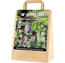 Blumenzwiebelmischung für ein Quadratmeter grosses Blumenbeet in einer Papiertragetasche