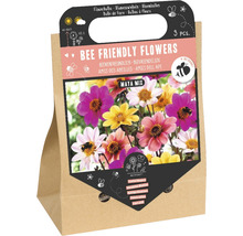 Blumenzwiebeln bienenfreundliche Blumen Maya Mix, 3 Stück