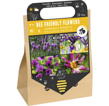 Blumenzwiebeln für bienenfreundliche Blumen, 50 Stück, Melissa Mix