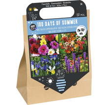 Blumenzwiebeln ''100 Days of Summer'' in Papierverpackung
