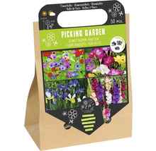 Blumenzwiebel- & Rhizom-Mischung 'Pflückgarten' mit Kronen-Anemone, Gartenfreesie, Holländische Iris & Gladiole 50 Stk.
