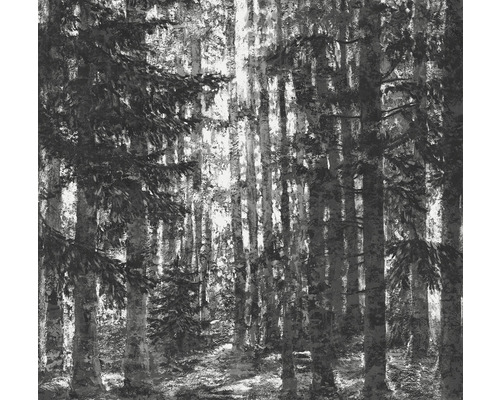 Papier peint panoramique intissé IF2-014 Lustres Lapland 2 pces 200 x 250 cm