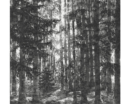 Papier peint panoramique intissé IF2-014 Lustres Lapland 2 pces 200 x 250 cm Photographie en noir et blanc d''une forêt avec des arbres