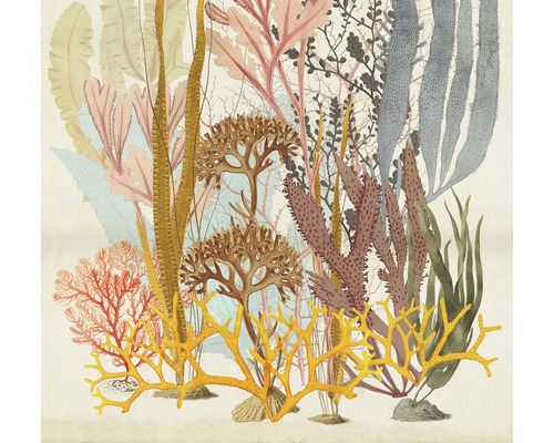Papier peint panoramique intissé IF2-028 Catchy Corals 2 pces 200 x 250 cm Illustration de différentes espèces d''algues marines.