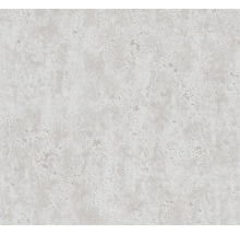Papier peint intissé 36600-1 Attractive 2 aspect béton gris