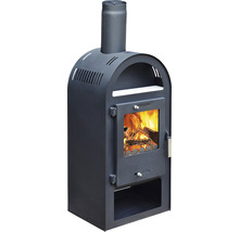 Poêle à bois avec feu de bois pour le chauffage de la pièce