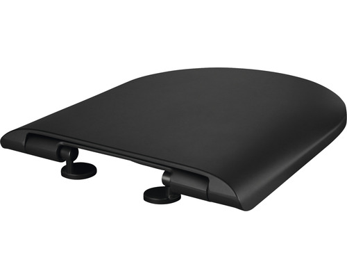 Toilettendeckel aus Kunststoff