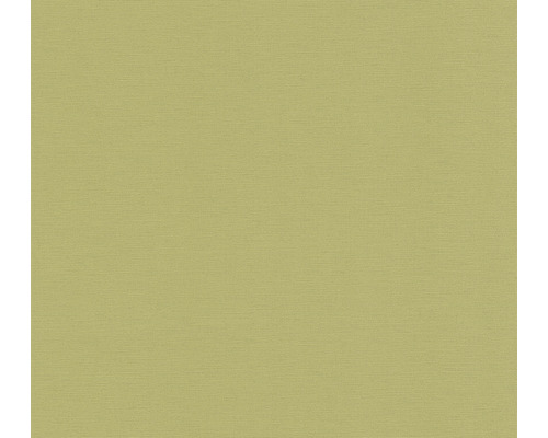 Papier peint intissé 39097-4 Antigua uni structure toile de lin vert clair Papier peint intissé 39097-4 Antigua uni structure toile de lin vert clair