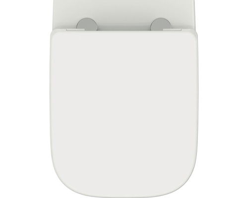 Toilettendeckel aus Kunststoff, eckig