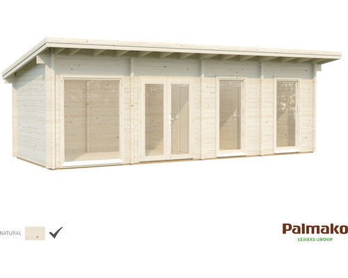 Abri de jardin en bois avec fenêtres et double porte
