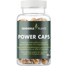 Dennerle Plants Power Caps für Aquarienpflanzen in einer transparenten Dose