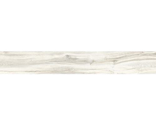 Carrelage sol et mur en grès cérame fin Aretino ivory 24x150x0,85 cm
