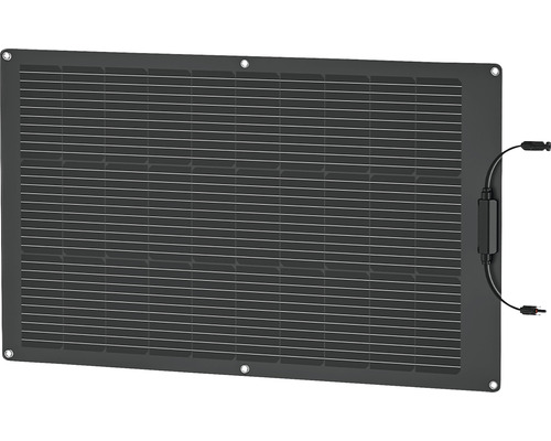 Module solaire pour alimentation électrique de secours EcoFlow 100 W