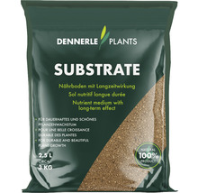 Dennerle Plants Substrat im 2.5 Liter Sack für dauerhaftes Pflanzenwachstum