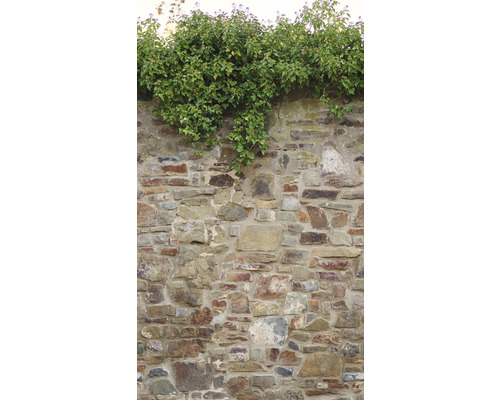 Papier peint panoramique intissé 39247-1 The Wall II mur en pierres cassé lierre crème 3 pces 159 x 280 cm