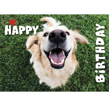 Geburtstagskarte mit Golden Retriever und Aufschrift Happy Birthday