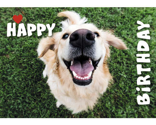 Postkarte Happy Birthday Hund 14,8x10,5 cm HORNBACH