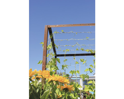 Support pour plantes grimpantes en métal avec fleurs et plantes jaunes