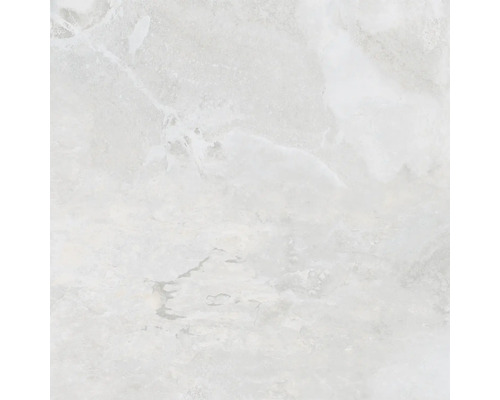 Feinsteinzeug Wand- und Bodenfliese Queen pearl 60x60 cm rekt. matt Feinsteinzeug Wand- und Bodenfliese Queen pearl 60x60 cm rekt. matt