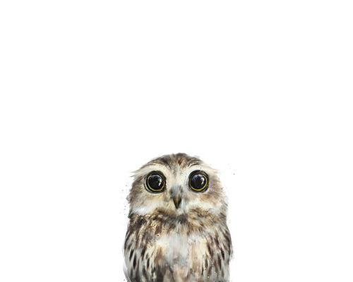 Postkarte Little owl 10,5x14,8 cm