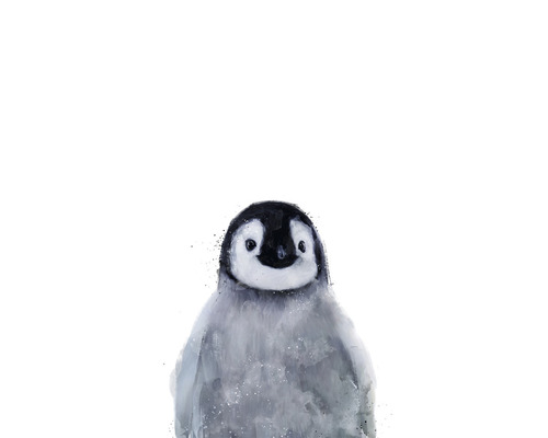 Carte postale Little penguin 10,5x14,8 cm