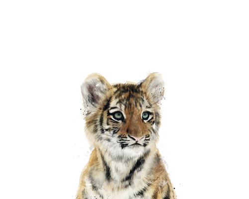 Carte postale Little tiger 10,5x14,8 cm