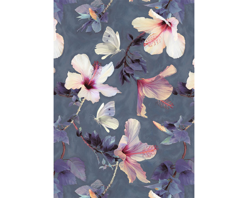 Carte postale butterflies & hibiscus flowers 10,5x14,8 cm