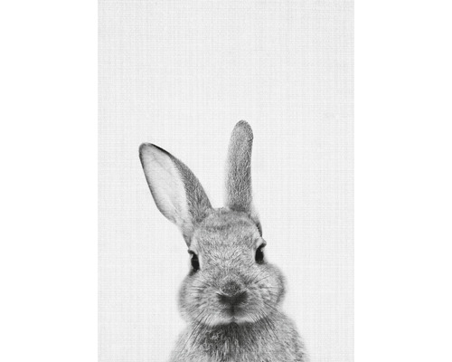 Postkarte print 48 10,5x14,8 cm Postkarte print 48 10,5x14,8 cm