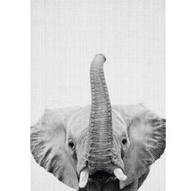 Postkarte print 50 10,5x14,8 cm