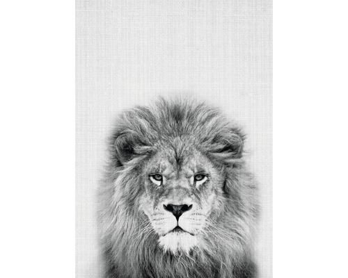 Postkarte Lion 10,5x14,8 cm