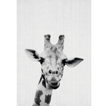 Postkarte print 41 10,5x14,8 cm
