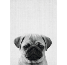 Postkarte print 44 10,5x14,8 cm