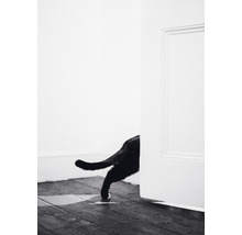 Postkarte sneaking out 10,5x14,8 cm